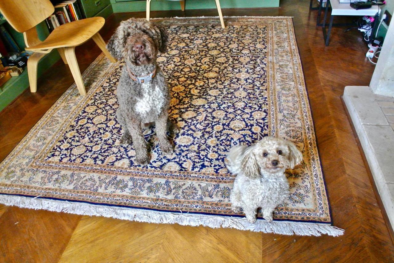 Cheillé La Jagee Bed & Breakfast エクステリア 写真