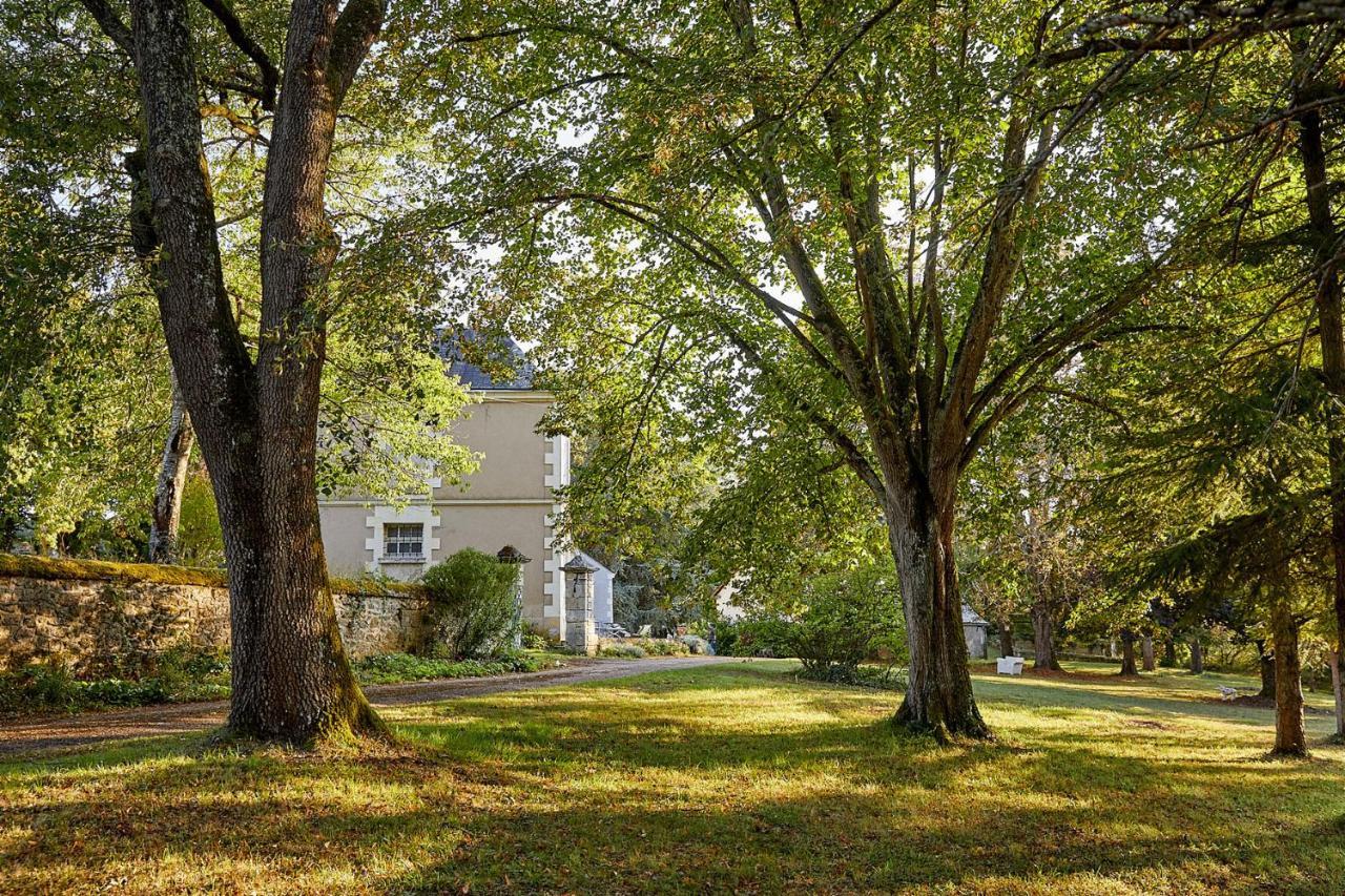 Cheillé La Jagee Bed & Breakfast エクステリア 写真