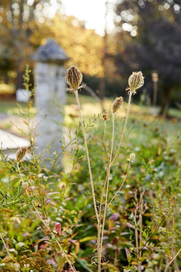 Cheillé La Jagee Bed & Breakfast エクステリア 写真